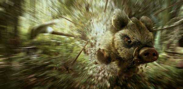 Photograph Clarissa And Peddy Run on One Eyeland